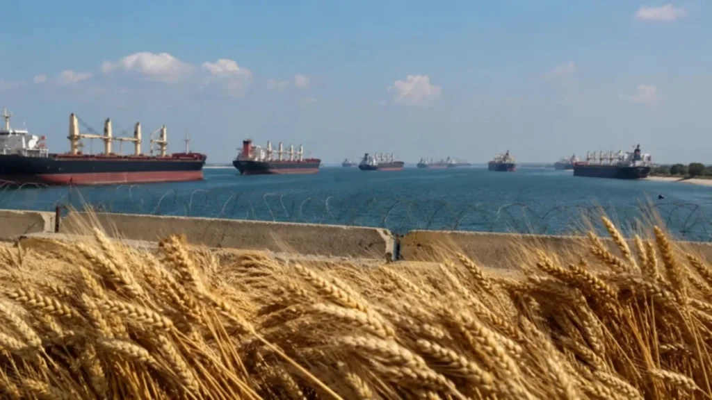 Tahıl koridorunda yeni kriz!